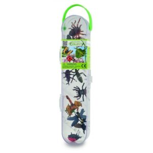 Box Of Insects