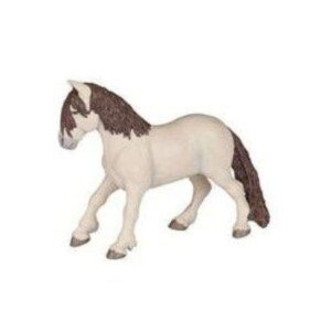 The Fairy Pony