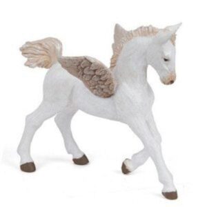 Baby Pegasus