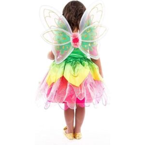 Springtime Fairy Wings