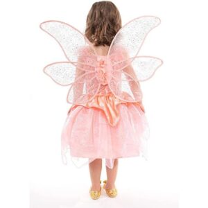 Rose Garden Fairy Wings