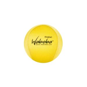 Fetch Water Ball