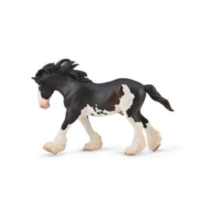 Clydesdale Stallion