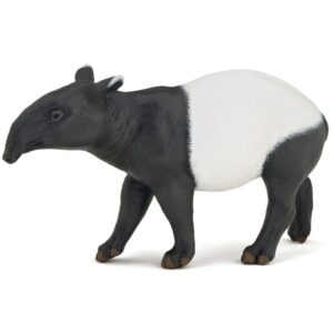 Tapir