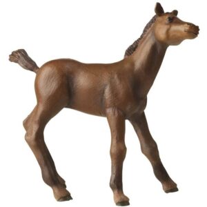 Thoroughbred Foal