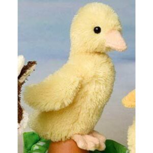 Slicker Baby Duck