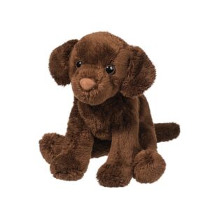 FINN CHOCOLATE LAB 5"