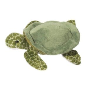 Tillie Turtle 7