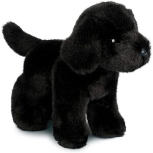 Bear Black Lab 10