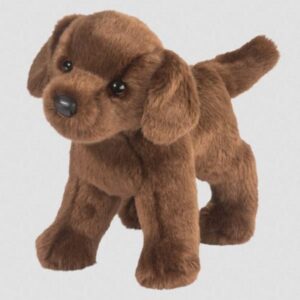 Tucker Chocolate Lab 10