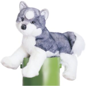 Sasha Husky 16