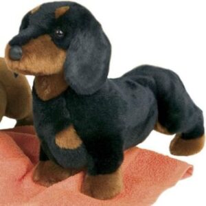 Spats Black & Tan Dachshund 14 Inch
