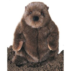 Chuckwood Groundhog