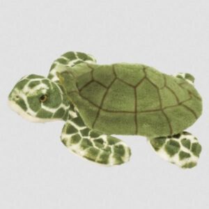 Toti Turtle 13