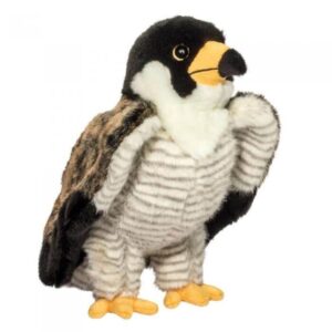 Houston Falcon 11 Inches