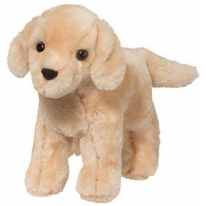 Cornell Yellow Lab 8