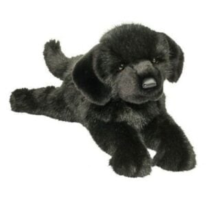 Abraham Black Lab 8