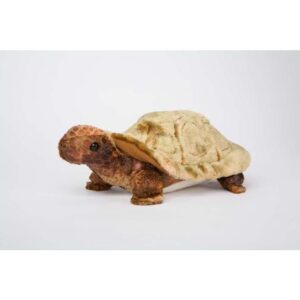 Speedy Tortoise 11 Inch
