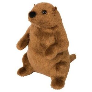 Mr. G Groundhog