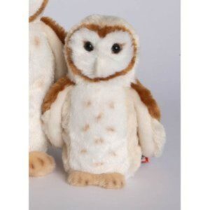 Rafter Barn Owl