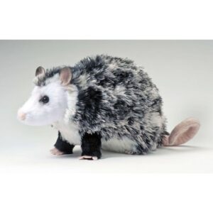 Oliver Possum