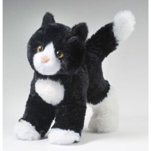 Snippy Black & White Cat