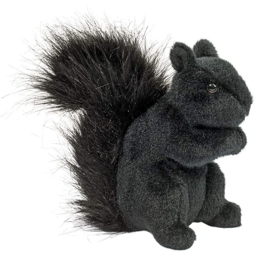 BLACK SQUIRREL 7″