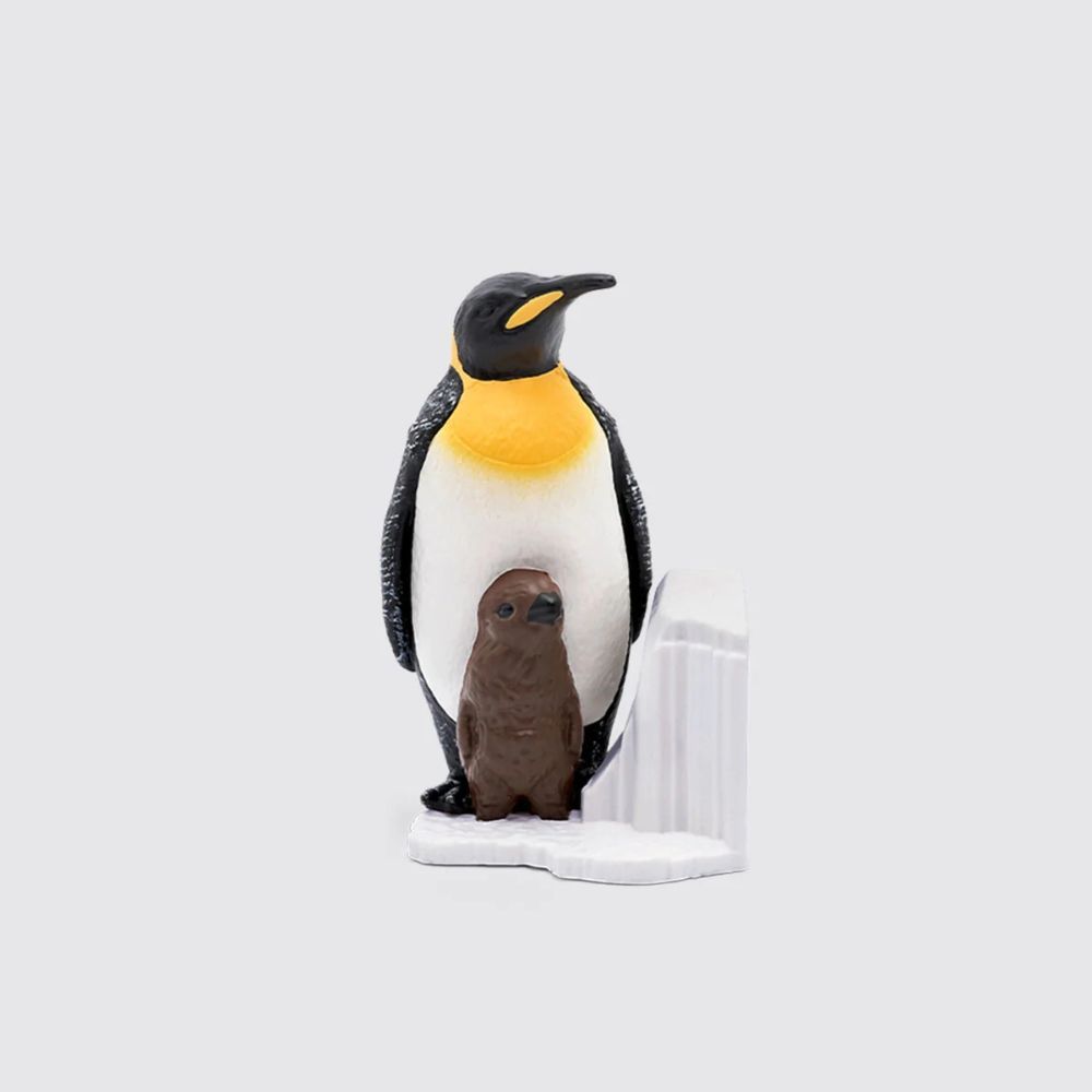Penguin – National Geographic