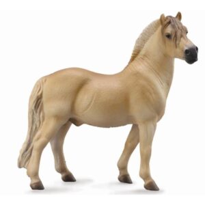 Fjord Stallion Brown Dun
