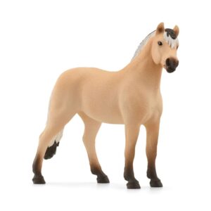 Norwegian Fjord Gelding