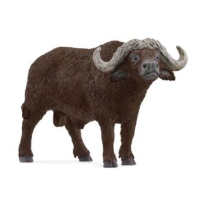 Africian Buffalo