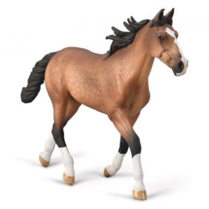 Standardbred Pacer Bay Stallion