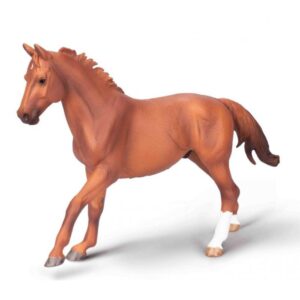 Phar Lap Thouroughbred Chestnut Stallion