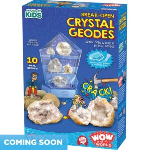 Break Open Crystal Geode