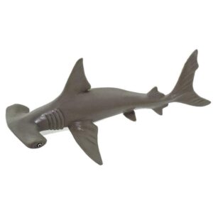 Hammerhead Baby Shark