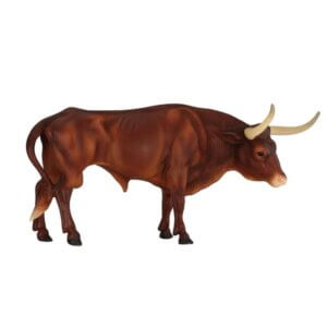 Texas Longhorn Bull