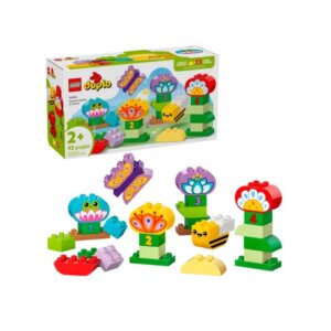 Creative Garden & Flowers