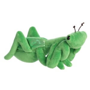 Mia Praying Mantis 8 Inch