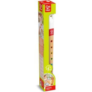 Mini Musicians Recorder