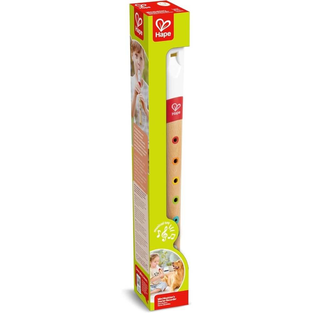 Mini Musicians Recorder