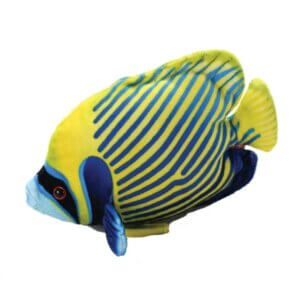 Emperor Angelfish
