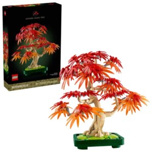 Japanese Red Maple Bonsai