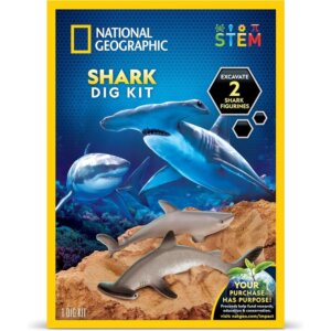 Shark Dig Kit