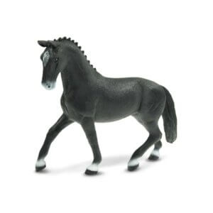 Hanoverian Mare