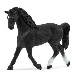Holstein Mare