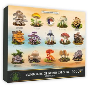 Mushrooms of NC 1000 Piece