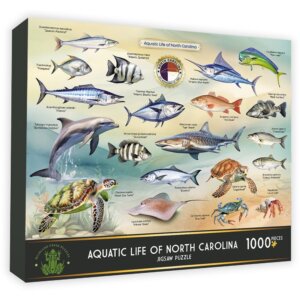 Aquatic Life of NC 1000 Piece