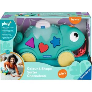Chameleon Color & Shape Sorter