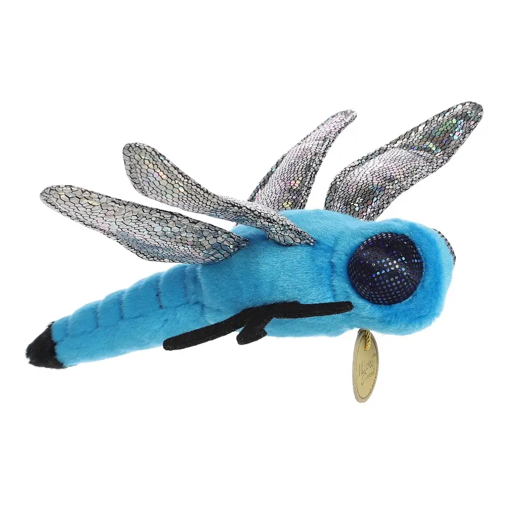 Blue Dasher Dragonfly