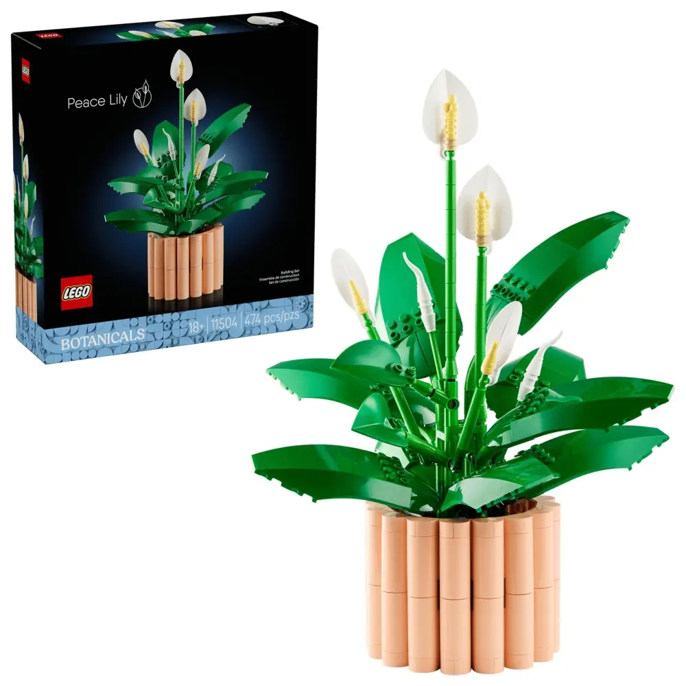 Peace Lily